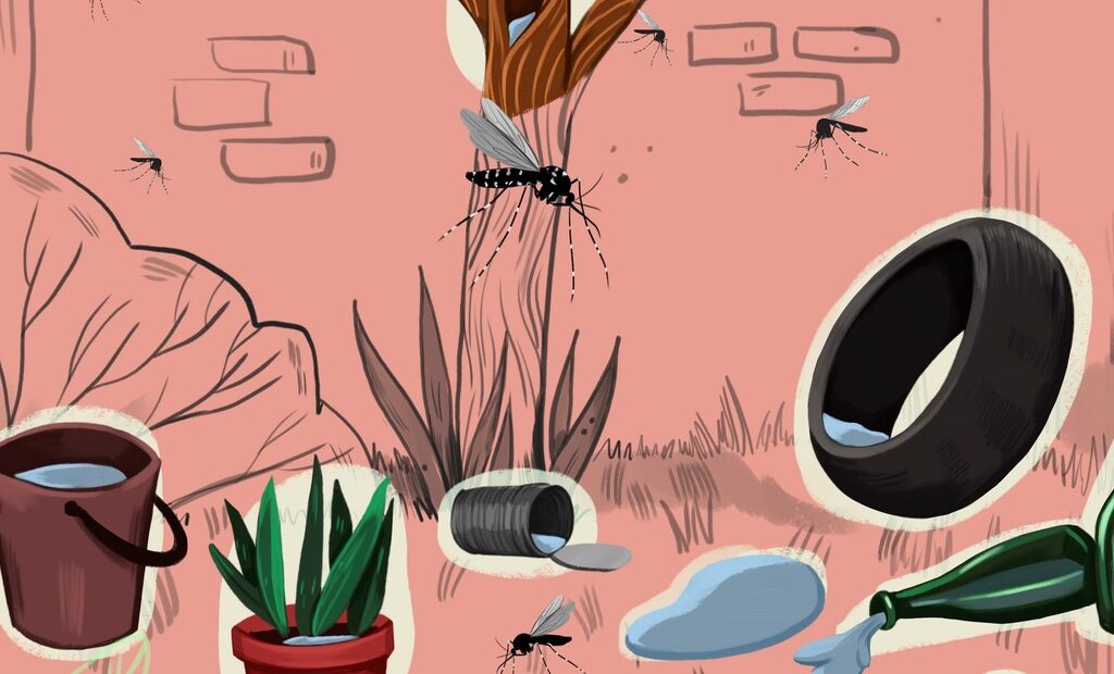 Criadero de insectos